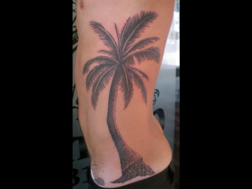 Best Man Left Side Rib Palm Tree Tattoo